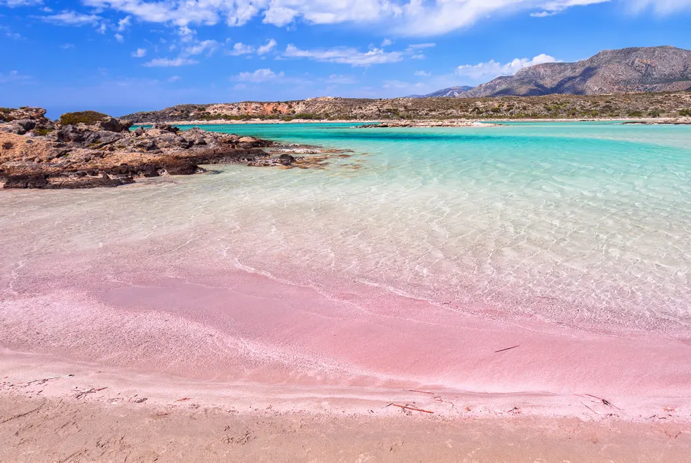 Pink Sands aux Bahamas